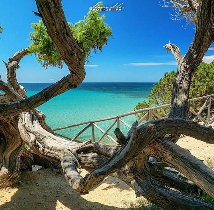 B&B I Fenicotteri Муравера Екстер'єр фото